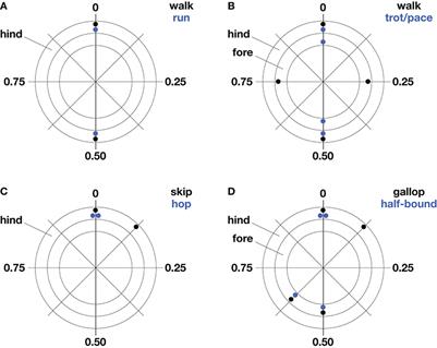 Linking Gait Dynamics to Mechanical Cost of Legged Locomotion